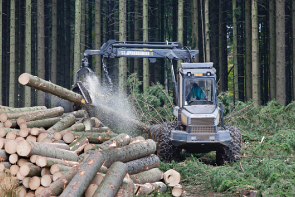 ANSUL offers a wide range of portable extinguishers and vehicle systems designed to combat forest fires